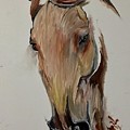 Portrait of a horse
